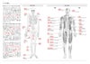 カラダの構造 骨格 筋肉2027 | ヨガ手帳2027